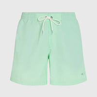 Short de bain O'Neill Vert 16'' | Mildrew Mint