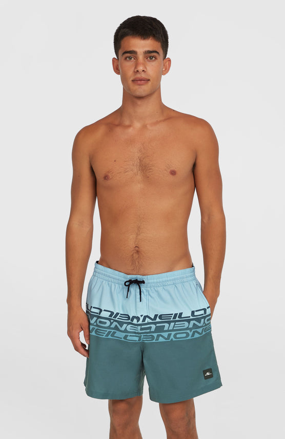 Short de bain Cali Stripe 16 | Blue Upside Down