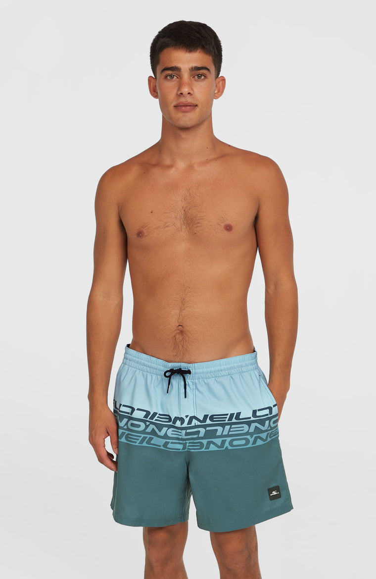 Short de bain Cali Stripe 16 | Blue Upside Down