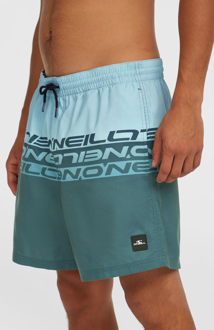 Short de bain Cali Stripe 16 | Blue Upside Down