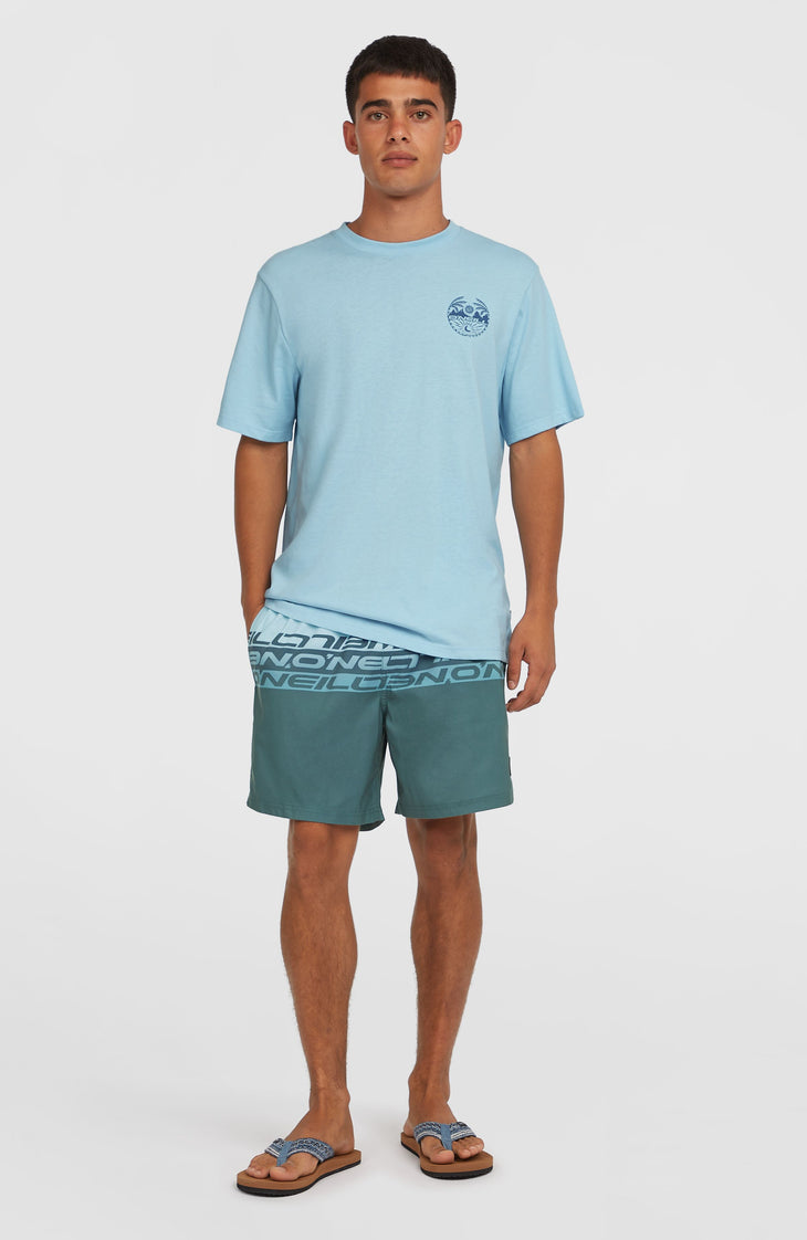 Short de bain Cali Stripe 16 | Blue Upside Down