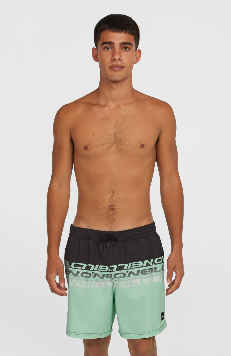 Short de bain Cali Stripe 16 | Green/Black Upside Down Clean