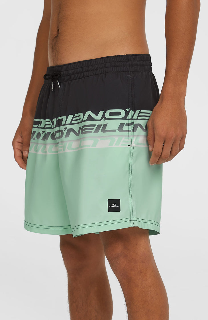 Short de bain Cali Stripe 16 | Green/Black Upside Down Clean