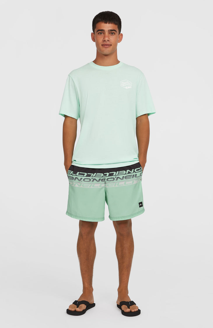 Short de bain Cali Stripe 16 | Green/Black Upside Down Clean