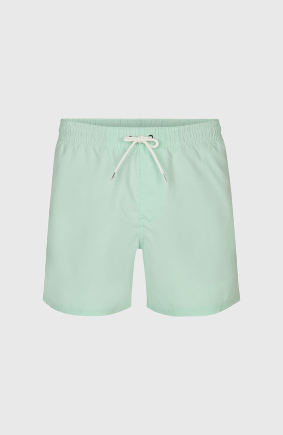 Short de bain O'Neill 15 | Mildrew Mint