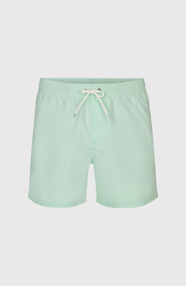 Short de bain O'Neill 15 | Mildrew Mint