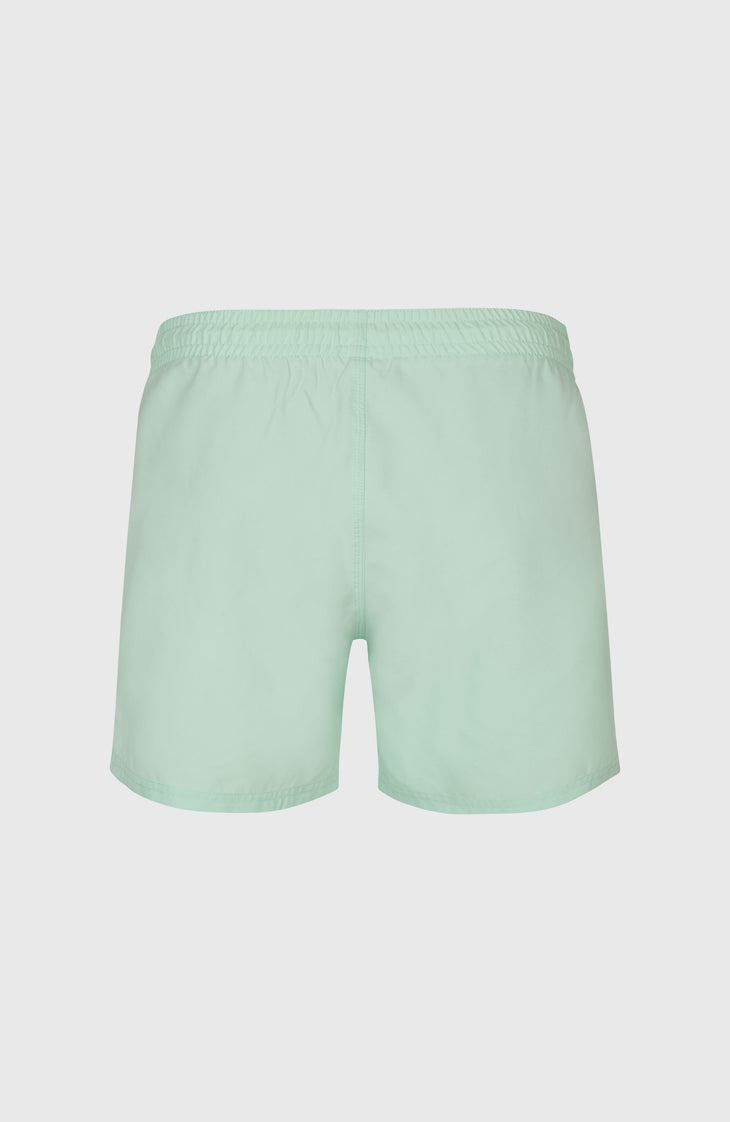 Short de bain O'Neill 15 | Mildrew Mint
