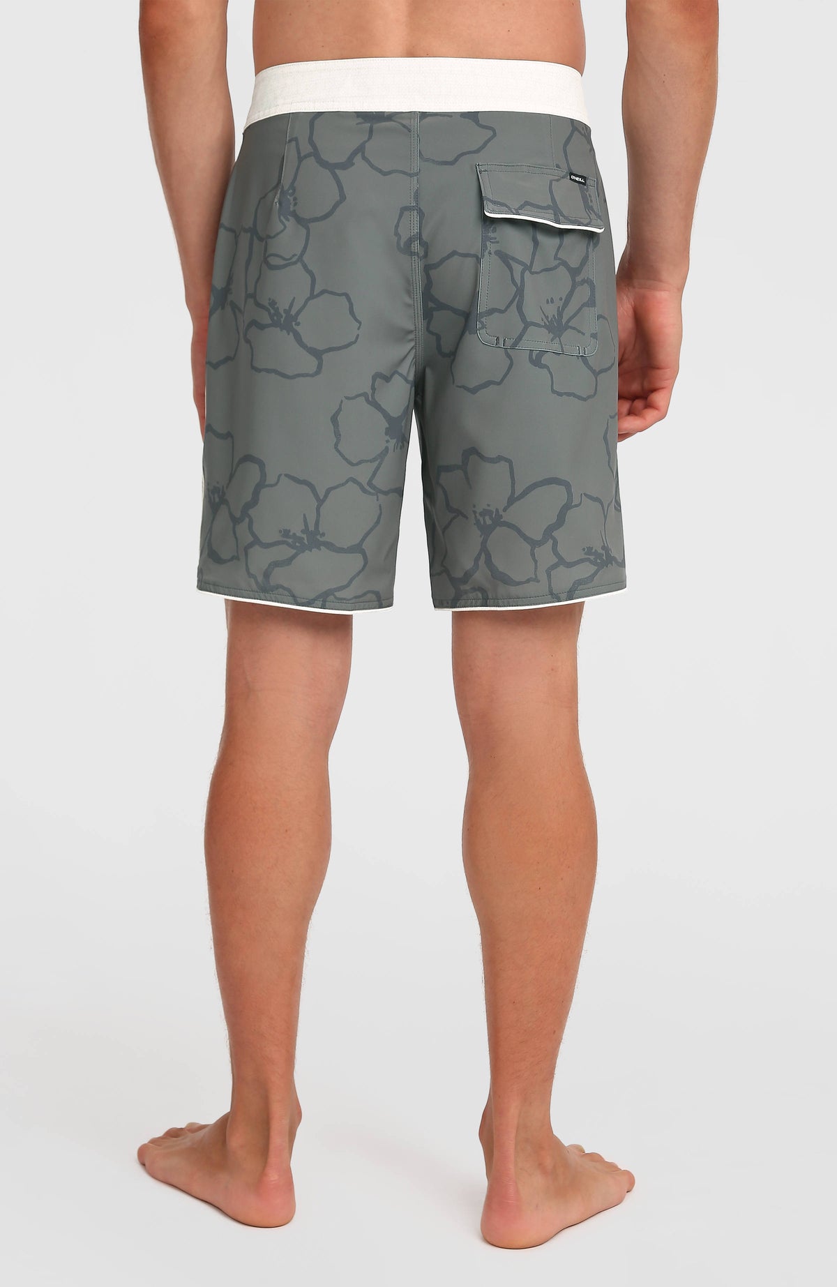 Boardshort Hyperfreak Mysto Scallop 19 | Mulled Basil Mysto Scallop