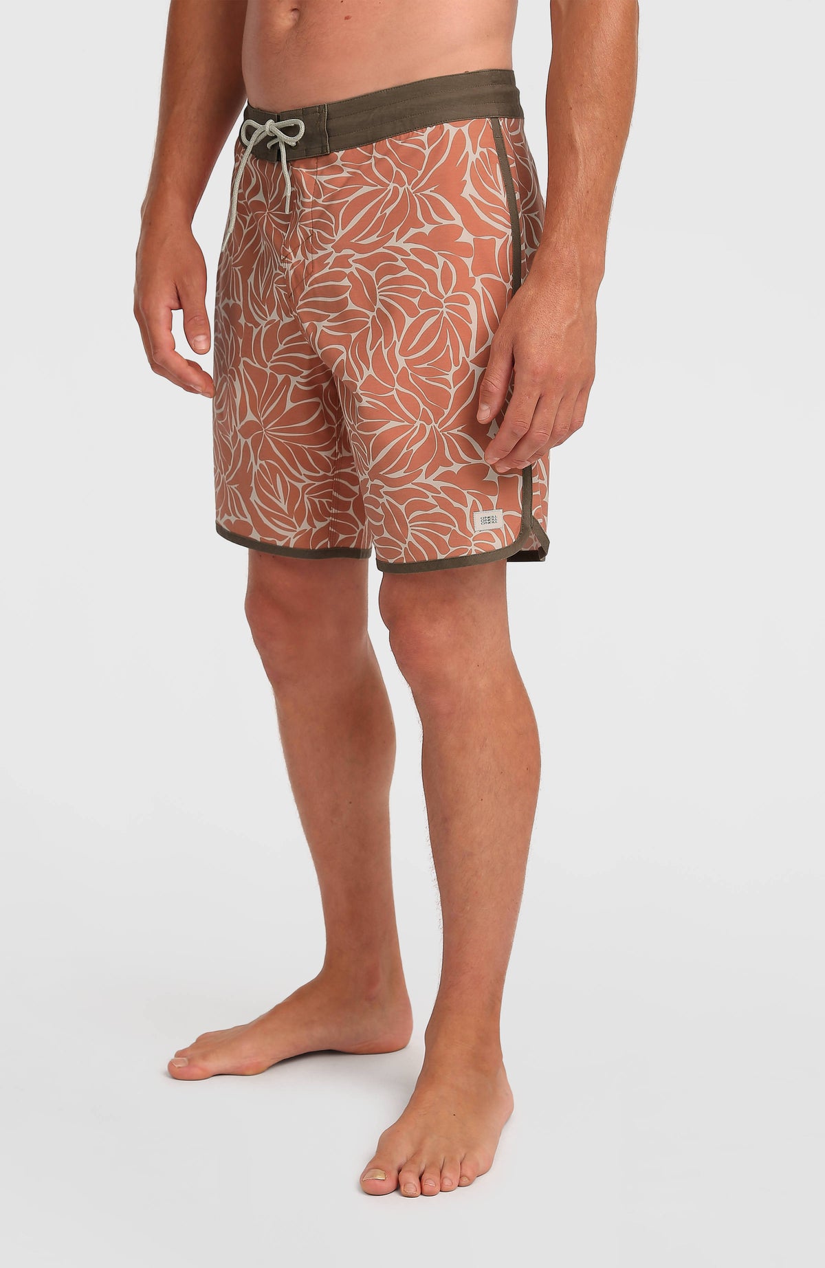 Boardshort Cruzer Scallop 18 | Langoustino Cruzer Scallop