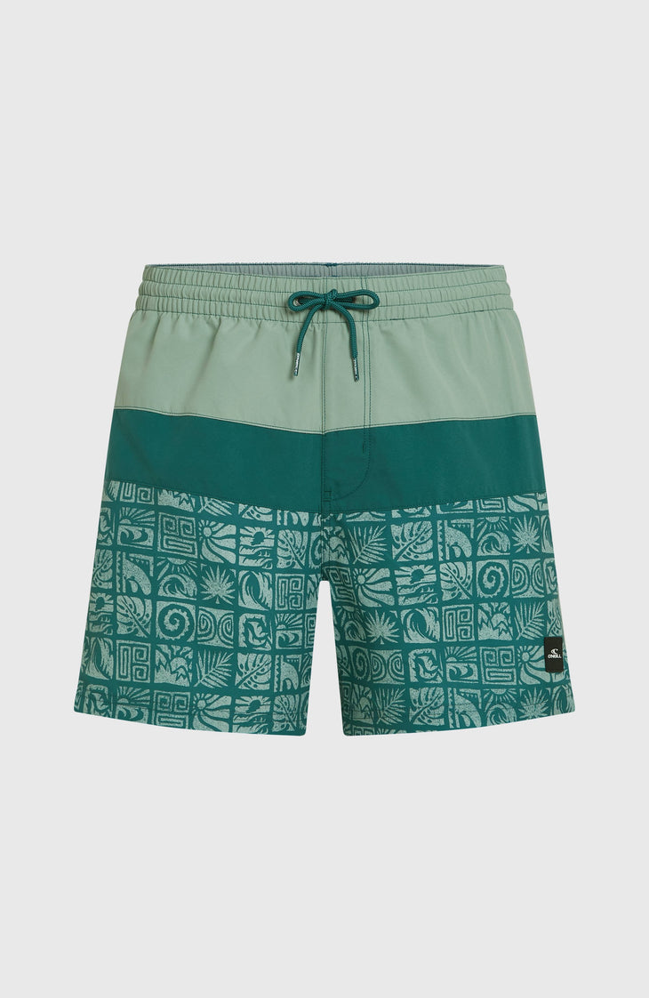 Short de bain O'Neill Block15'' | Blue Bricks