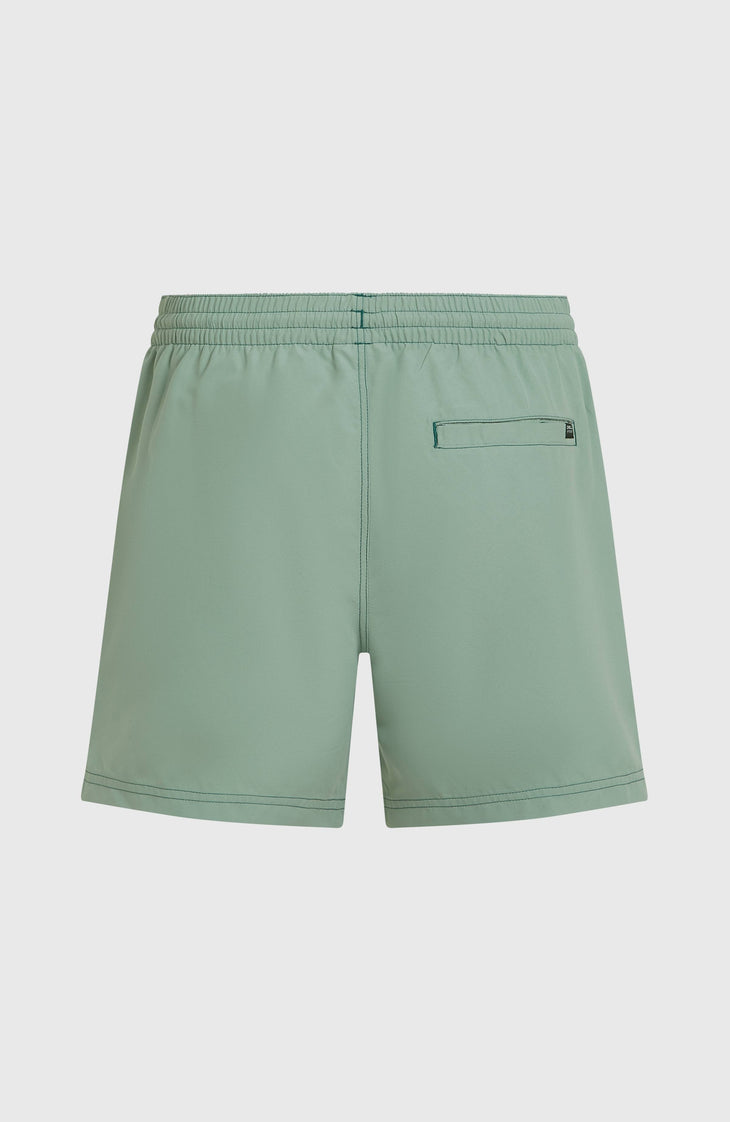 Short de bain O'Neill Block15'' | Blue Bricks