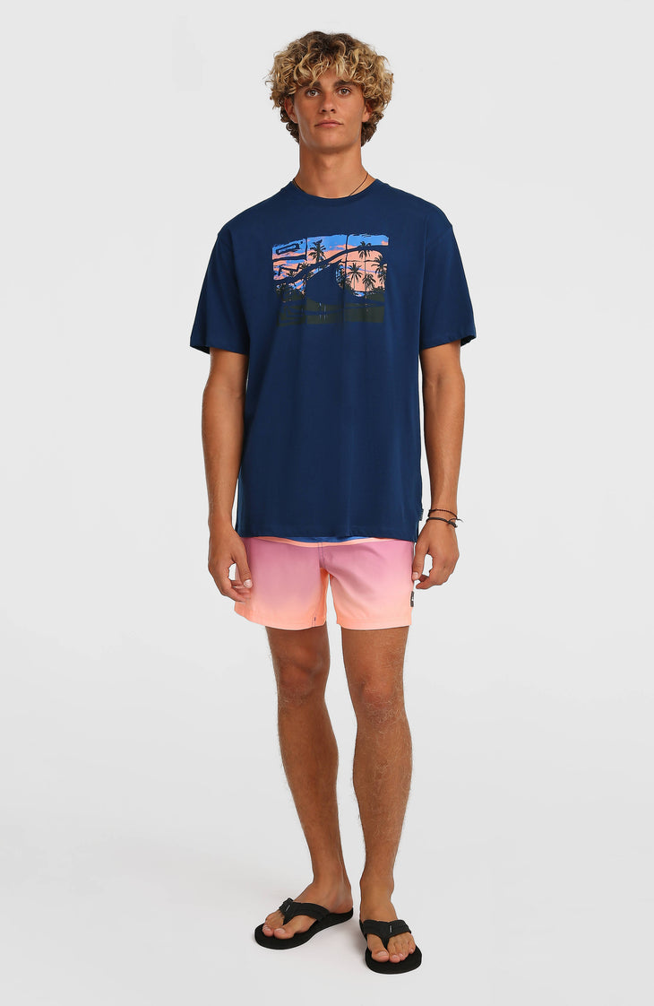 Short de bain O'Neill Gradient 15 | Blue Gradient Stripe