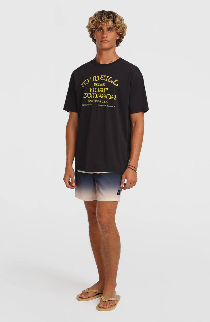 Short de bain O'Neill Gradient 15 | Black Out Gradient Stripe