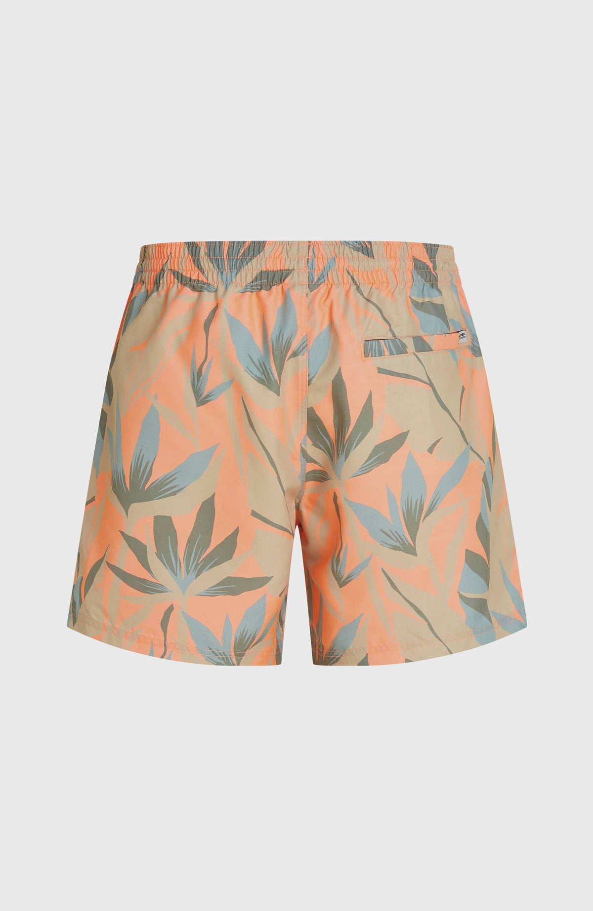 Short de bain O'Neill Print 16 | Orange Tropicana Big