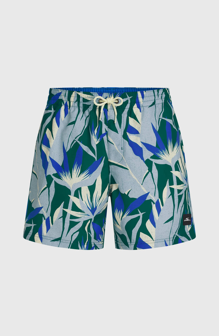 Short de bain O'Neill Print 16 | Blue Tropicana Big