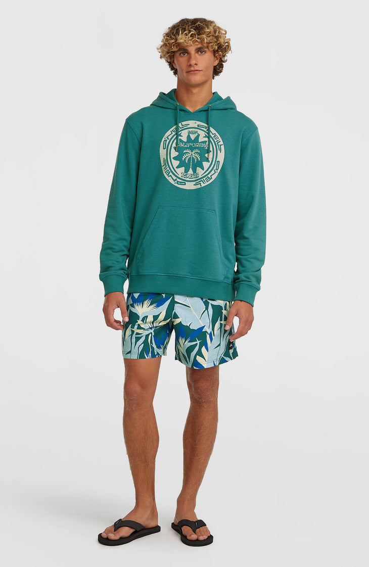 Short de bain O'Neill Print 16 | Blue Tropicana Big