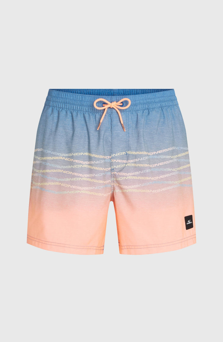 Short de bain O'Neill First 15'' | Blue Heritage O'Neill Flip