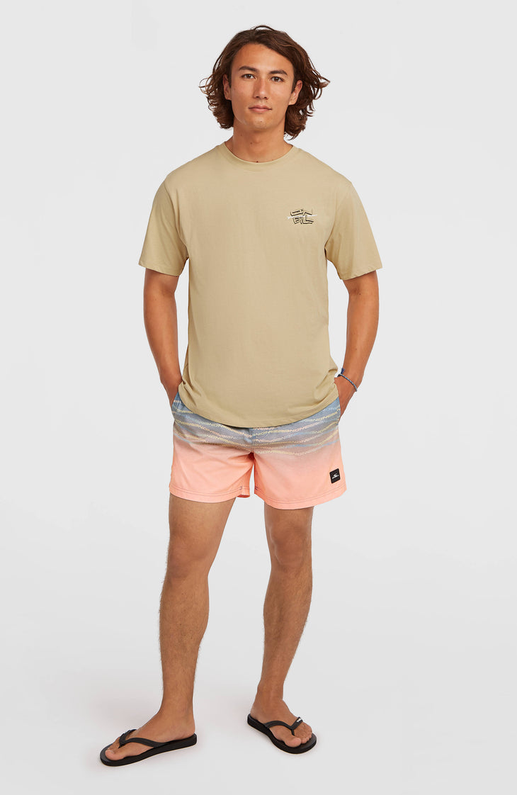 Short de bain O'Neill First 15'' | Blue Heritage O'Neill Flip