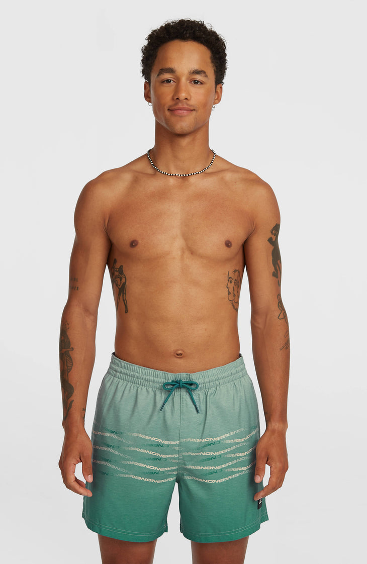 Short de bain O'Neill First 15'' | Green Heritage O'Neill Flip