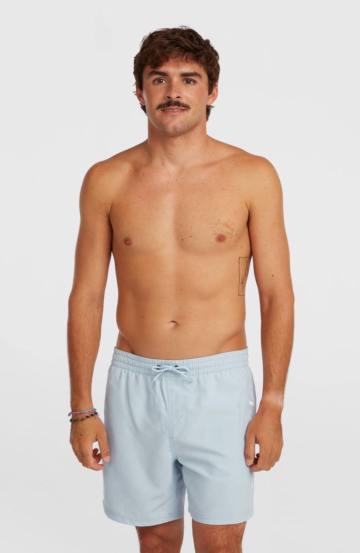 Short de bain O'Neill Logo 16'' | Spindle