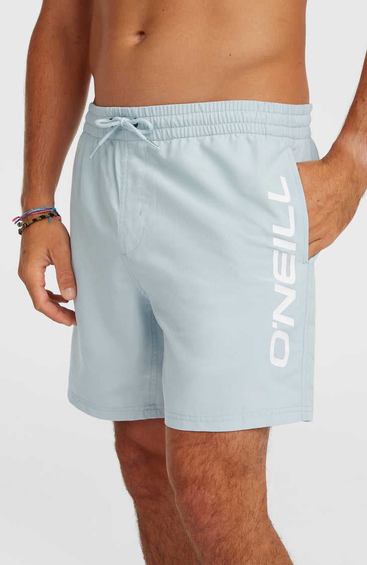Short de bain O'Neill Logo 16'' | Spindle