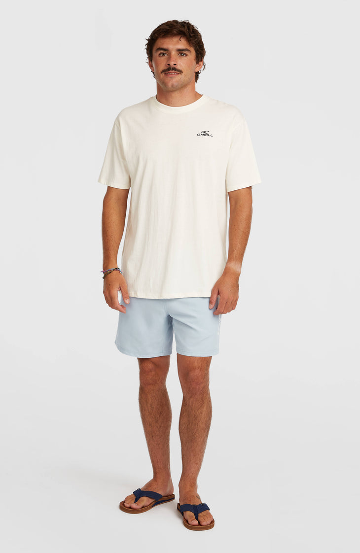 Short de bain O'Neill Logo 16'' | Spindle