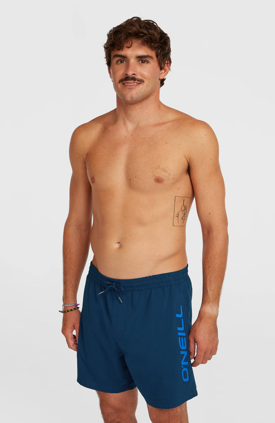 Short de bain O'Neill Logo 16'' | English Evening