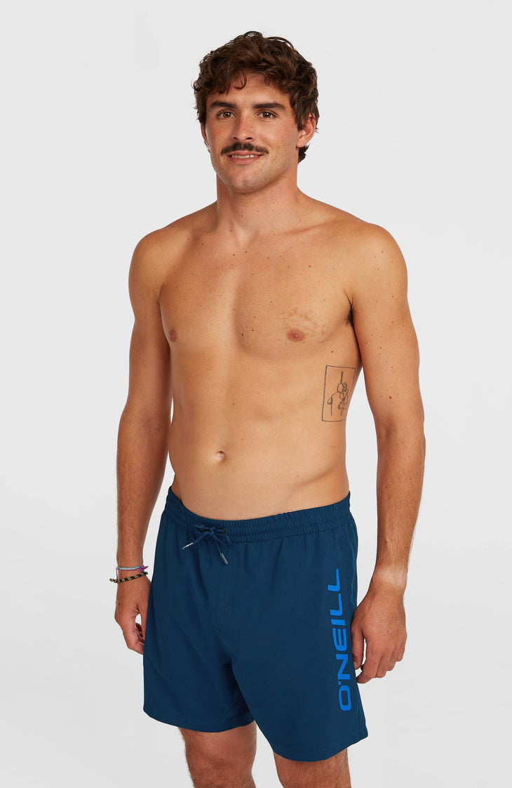 Short de bain O'Neill Logo 16'' | English Evening