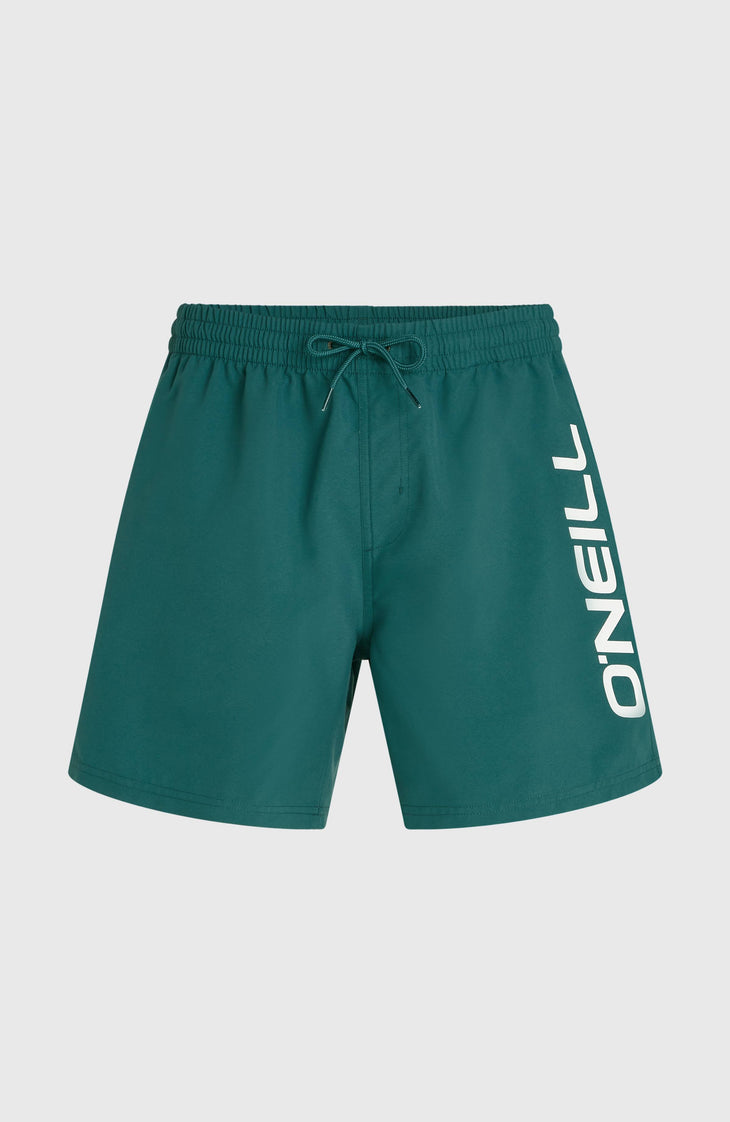 Short de bain O'Neill Logo 16'' | Botanical Heat