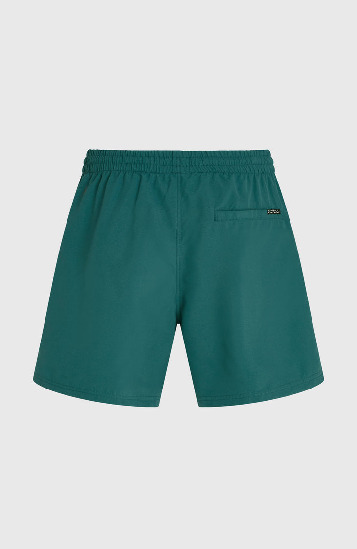 Short de bain O'Neill Logo 16'' | Botanical Heat