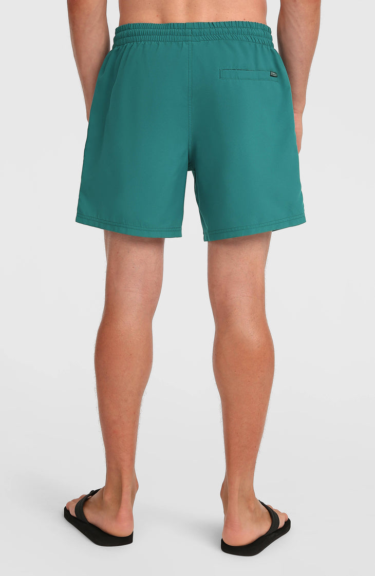 Short de bain O'Neill Logo 16'' | Botanical Heat