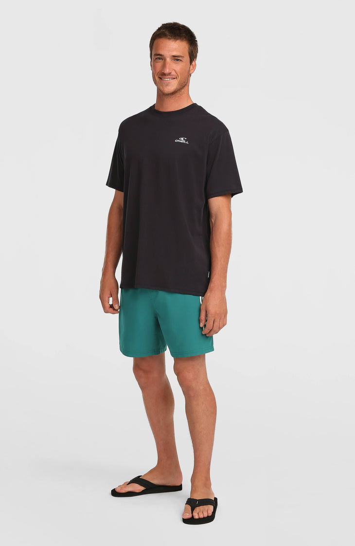 Short de bain O'Neill Logo 16'' | Botanical Heat