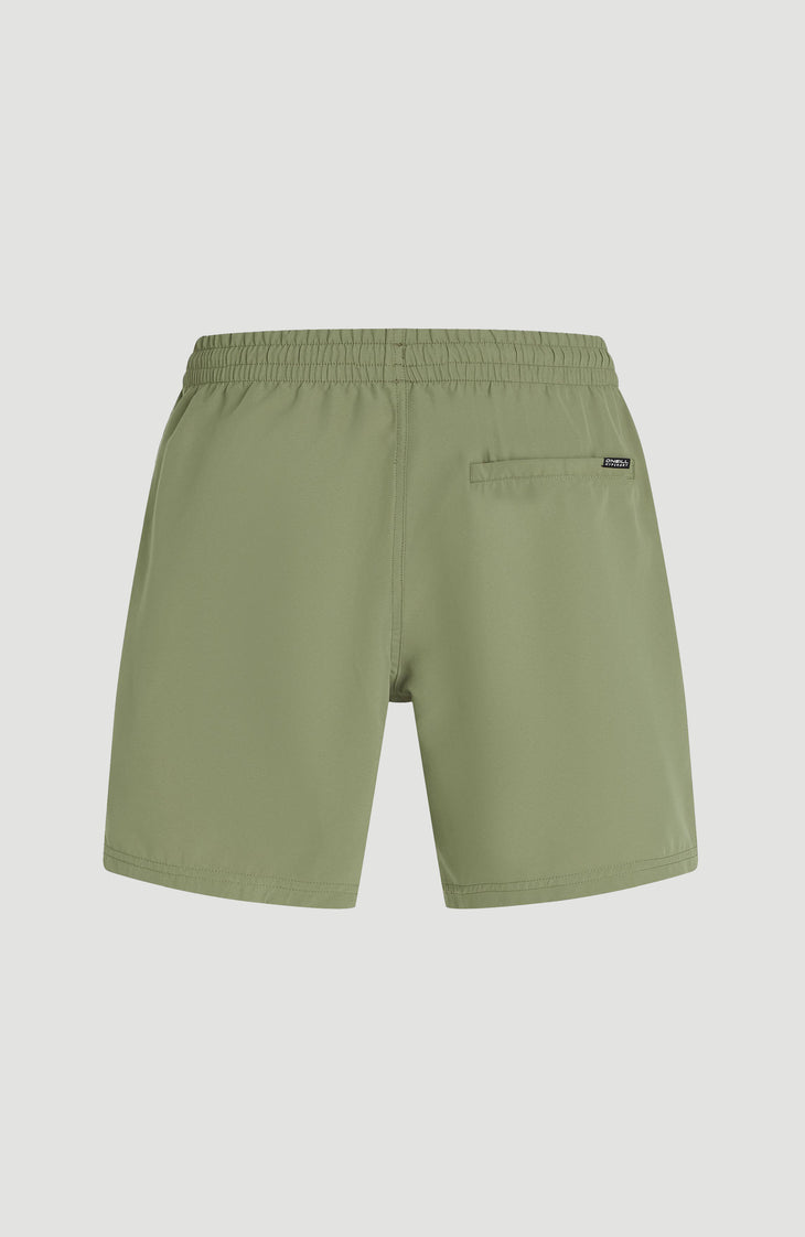 Short de bain O'Neill Logo 16'' | Avery Fern