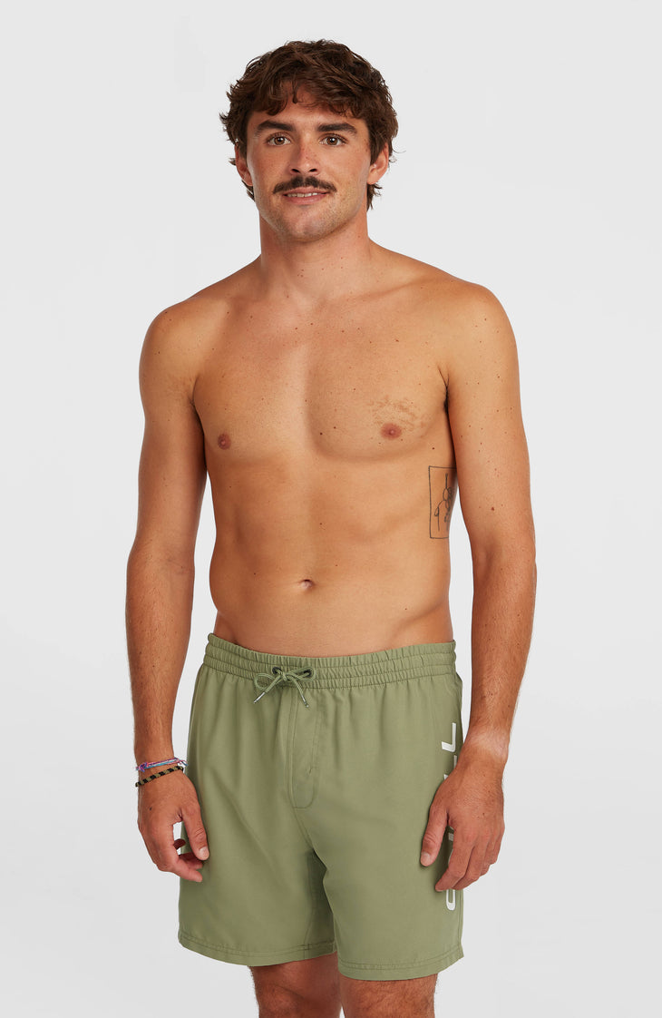 Short de bain O'Neill Logo 16'' | Avery Fern