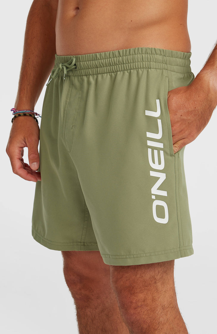 Short de bain O'Neill Logo 16'' | Avery Fern