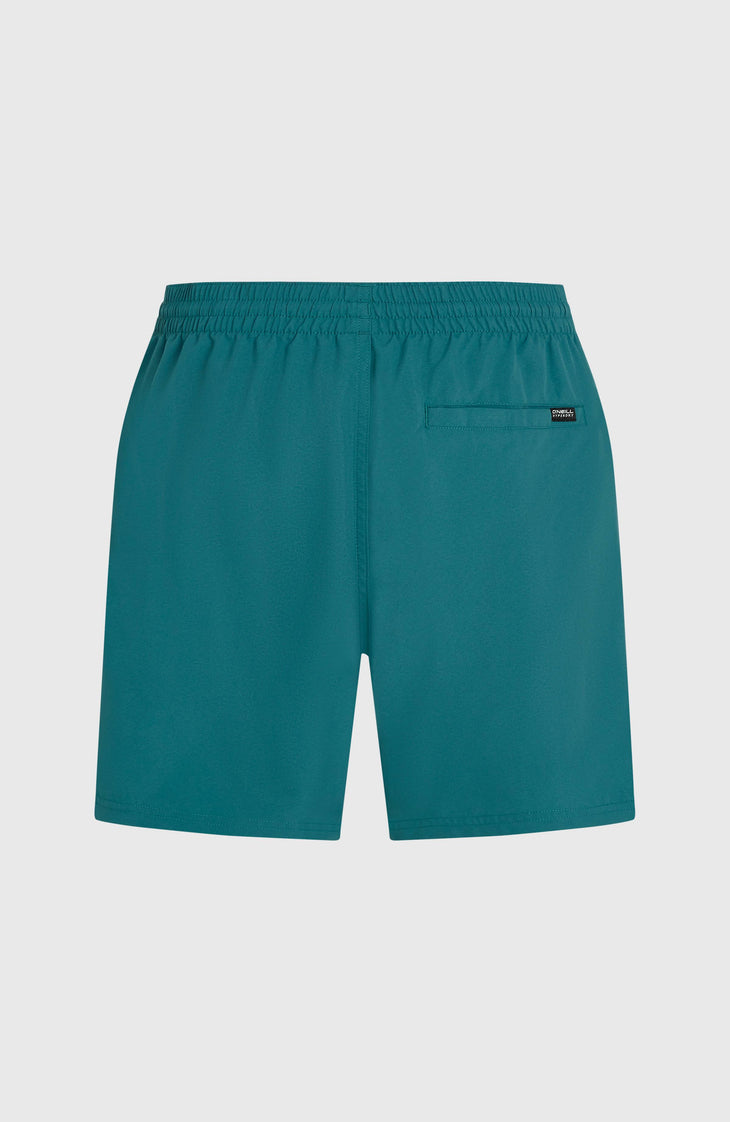 Short de bain O'Neill Cali 16'' | Botanical Heat