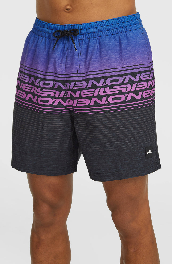 Short de bain Logo Stripe 16'' | Blue Heritage O'Neill Stripe