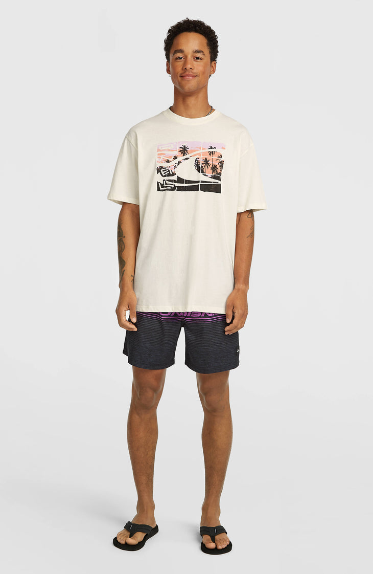 Short de bain Logo Stripe 16'' | Blue Heritage O'Neill Stripe