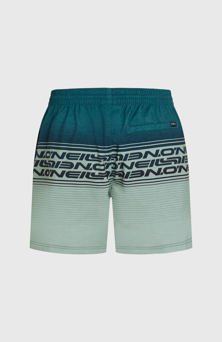 Short de bain Logo Stripe 16'' | Green Heritage Stripe
