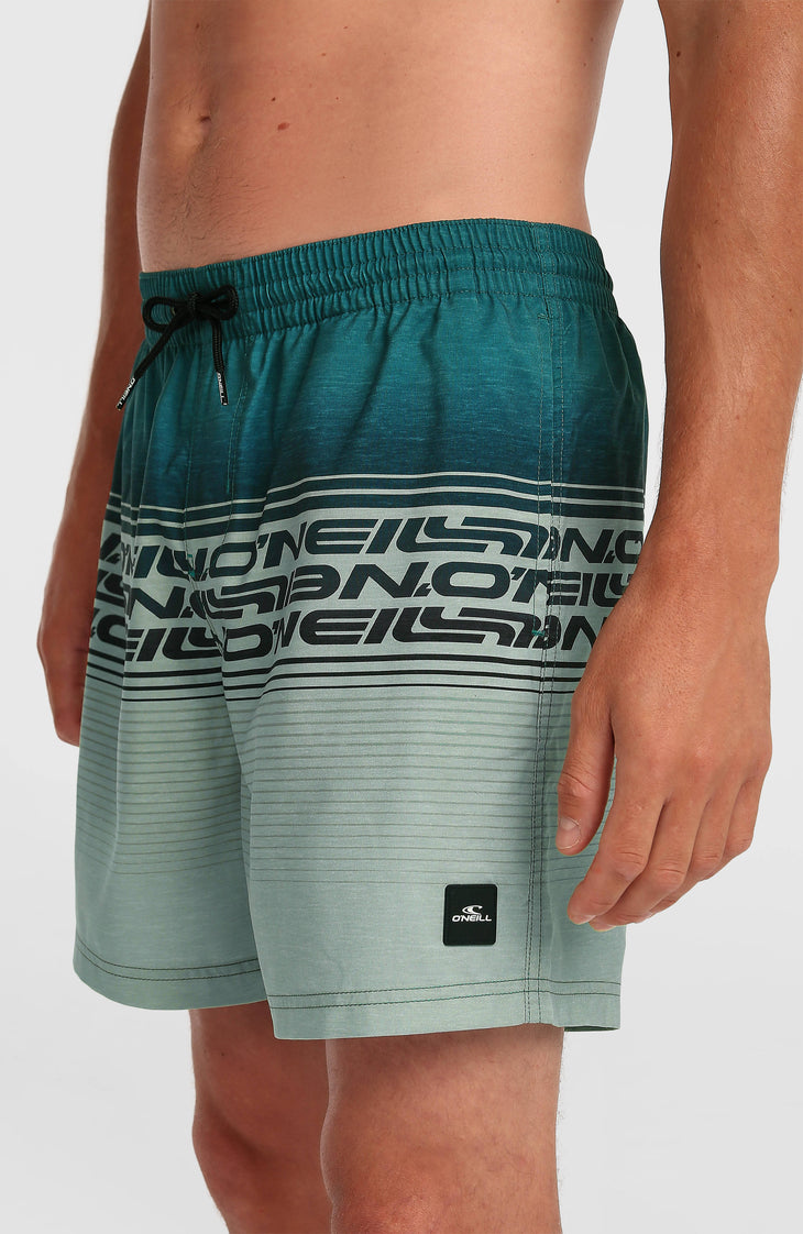 Short de bain Logo Stripe 16'' | Green Heritage Stripe