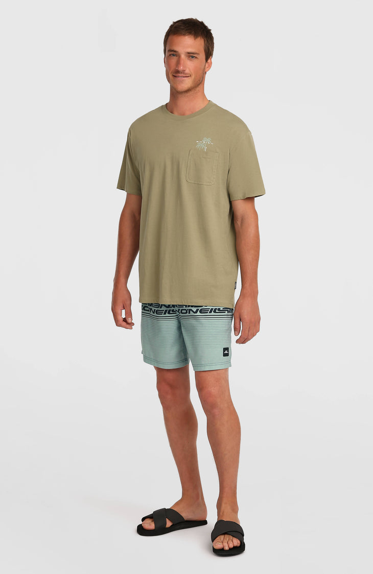 Short de bain Logo Stripe 16'' | Green Heritage Stripe