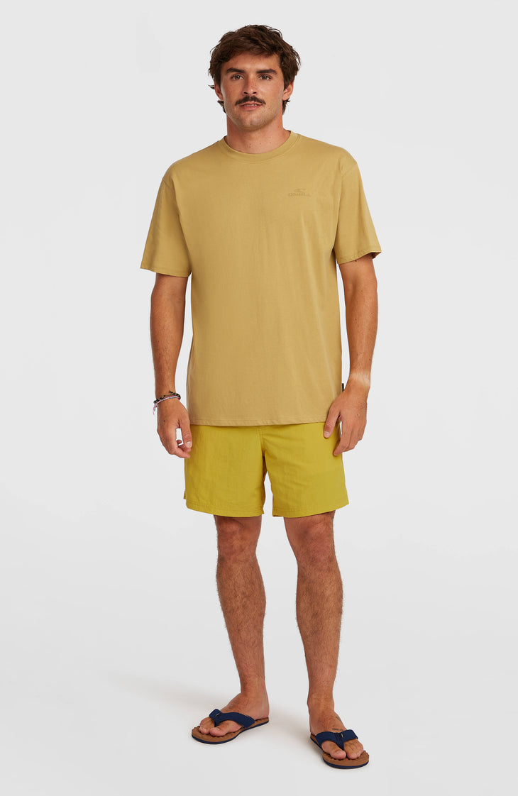 Short de bain O'Neill Vert 16'' | Angel Fern