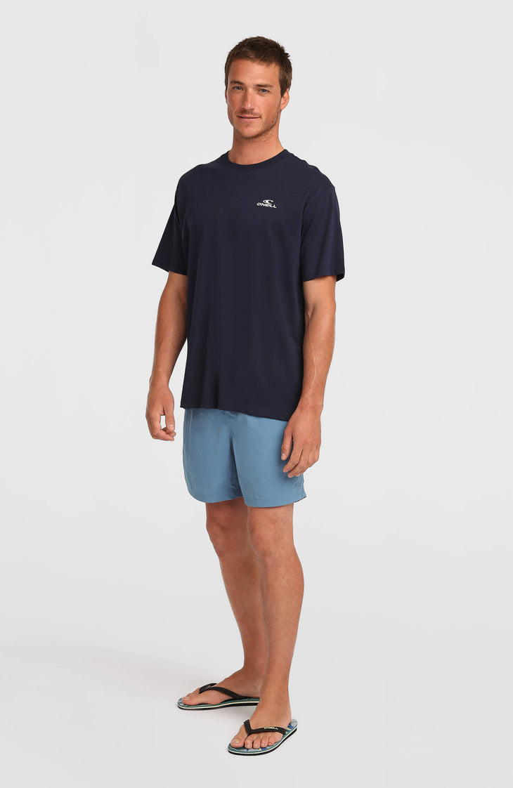 Short de bain O'Neill Vert 16'' | Copen Blue