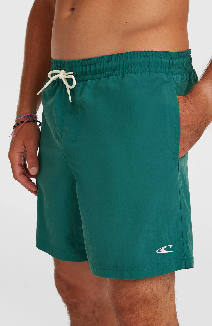 Short de bain O'Neill Vert 16'' | Botanical Heat