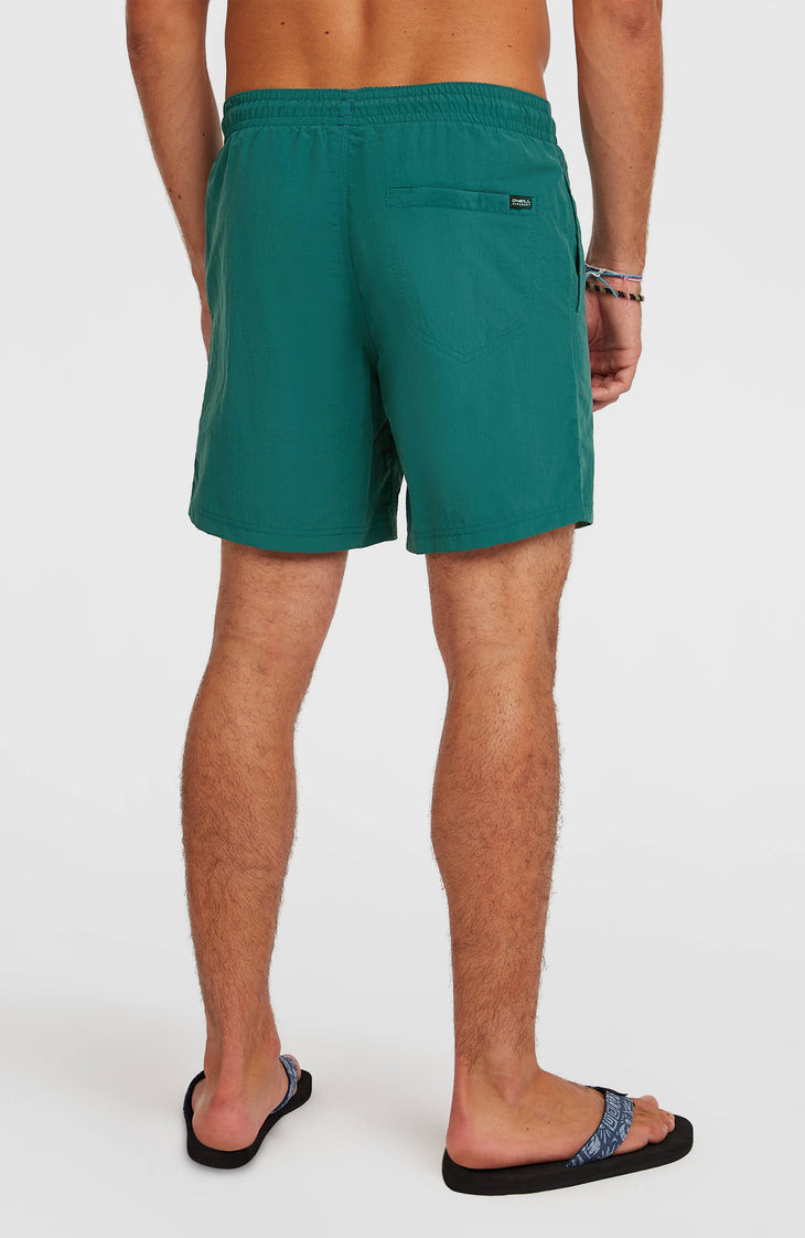 Short de bain O'Neill Vert 16'' | Botanical Heat