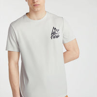 T-shirt O'Neill TRVLR Series Plutoniam | London Fog