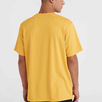 T-shirt O'Neill Hybrid Logo Polygiene | Golden Haze