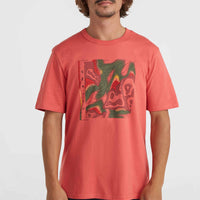 T-shirt O'Neill TRVLR Series Pacific Polygiene | Red Orcher