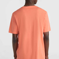 T-shirt Mix and Match Palm | Living Coral