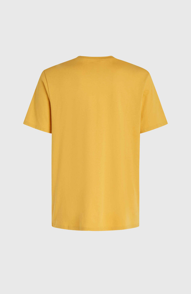 T-shirt Mix and Match Floral Graphic | Golden Haze